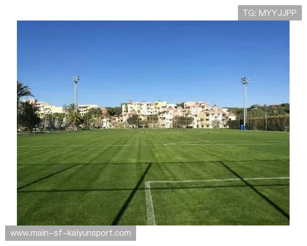 职业俱乐部是否为球员提供赛季前心理调适服务,职业俱乐部梯队 职业俱乐部是否为球员提供赛季前心理调适服务,职业俱乐部梯队