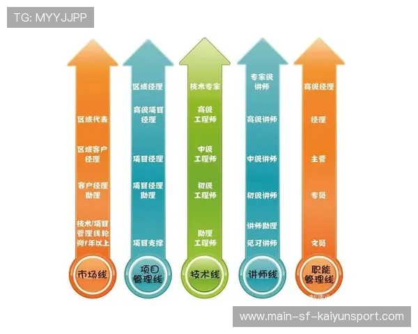 职业路径清晰成长加速